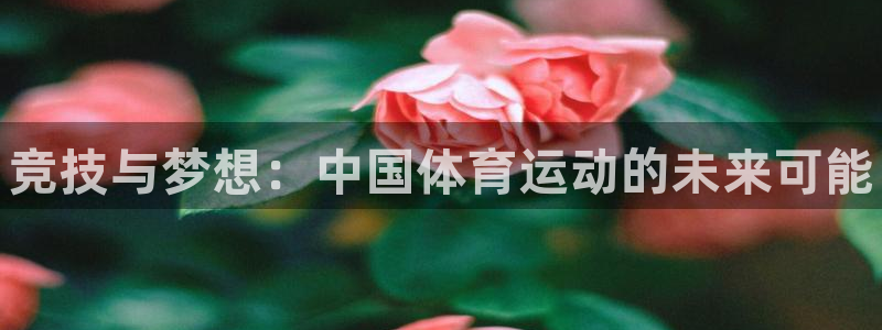米兰体育官网下载平台：竞技与梦想：中国体育运动的未来