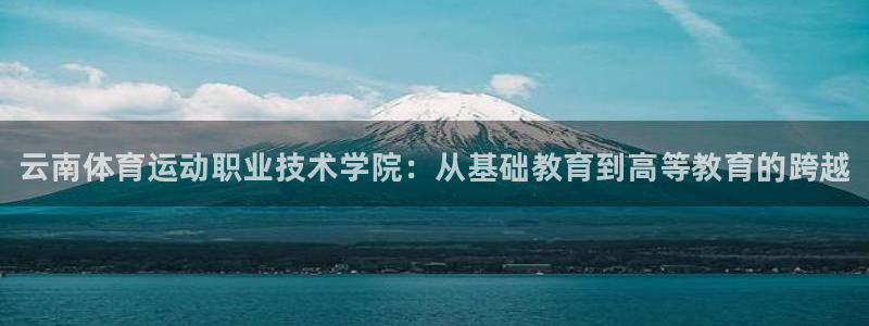 米兰体育官方正版app集团logo：云南体育运动职业