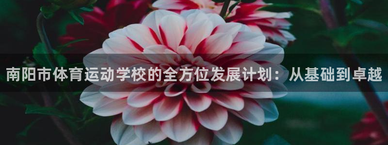 米兰体育官网下载招商：南阳市体育运动学校的全方位发展