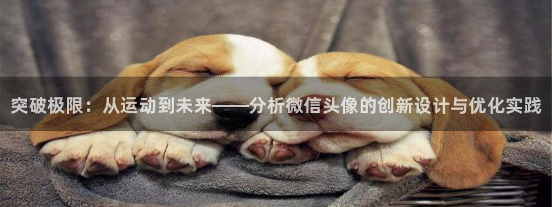 海南米兰体育官网下载：突破极限：从运动到未来——分析
