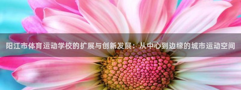注册米兰体育官方正版app：阳江市体育运动学校的扩展