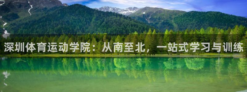米兰体育官方正版app集团简介