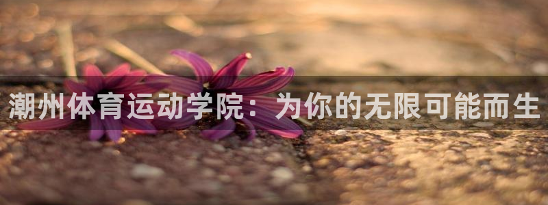 米兰体育官方正版app集团官网网址：潮州体育运动学院