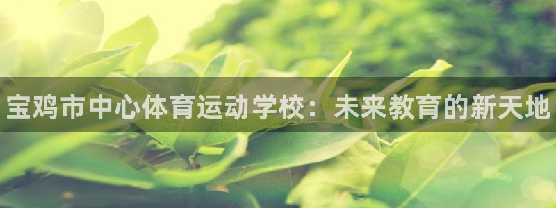米兰体育官方正版app集团简介：宝鸡市中心体育运动学