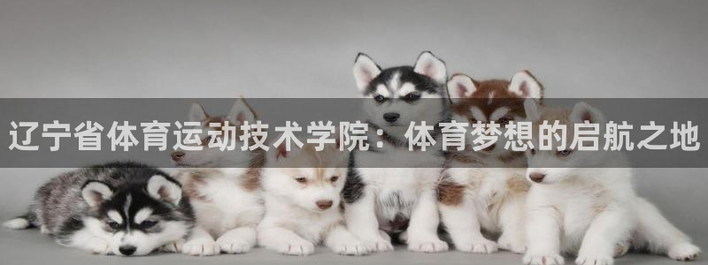 米兰体育官网下载招商电话是多少号码