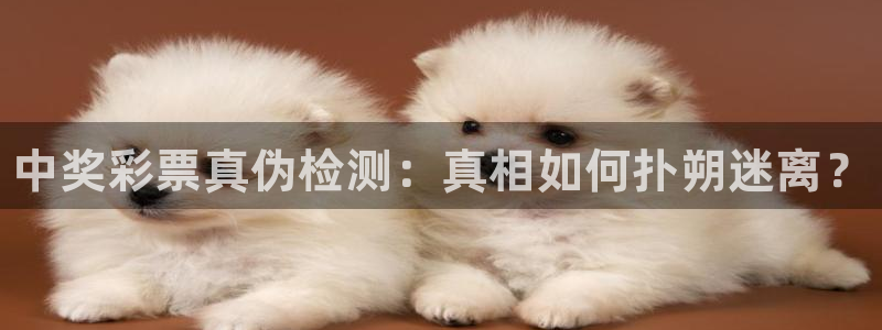 米兰体育官方正版app娱乐平台