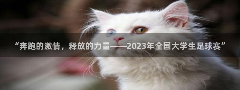 米兰体育官网下载平台假的吗是真的吗
