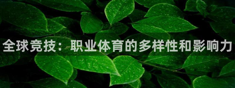 米兰体育官网下载平台APP：全球竞技：职业体育的多样