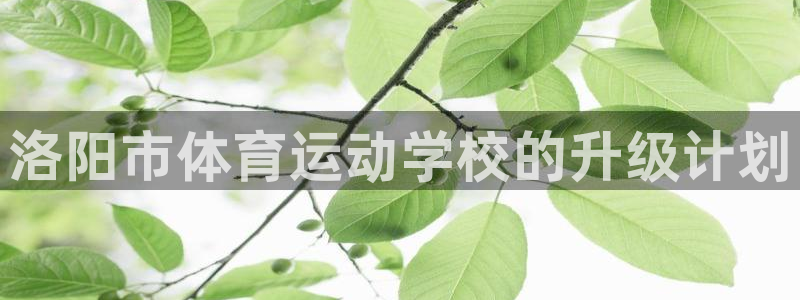 米兰体育官方正版app集团logo：洛阳市体育运动学校的升级