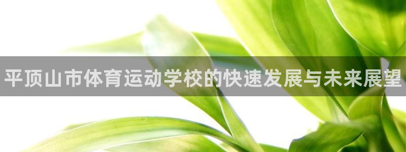 米兰体育官方正版app新能源：平顶山市体育运动学校的快速发展