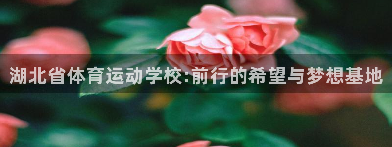 米兰体育官方正版app开户：湖北省体育运动学校:前行的希望与