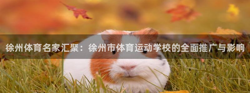 米兰体育官网下载招商电话地址：徐州体育名家汇聚：徐州