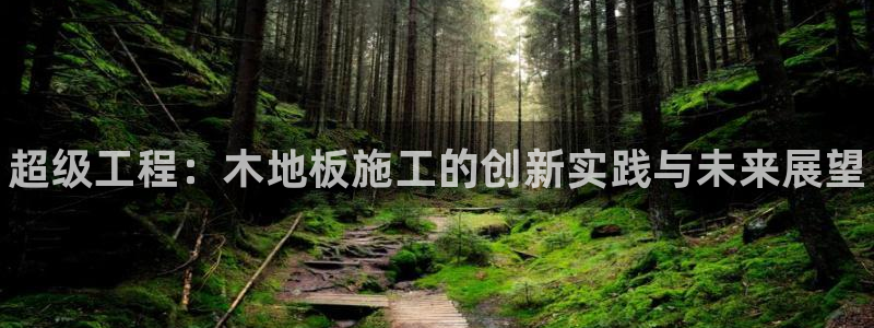 米兰体育官方正版app神州：超级工程：木地板施工的创