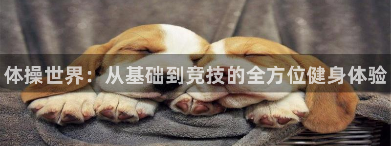 米兰体育官网下载平台是正规平台吗