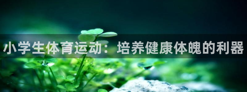 米兰体育官网下载招商电话号码：小学生体育运动：培养健康体魄的