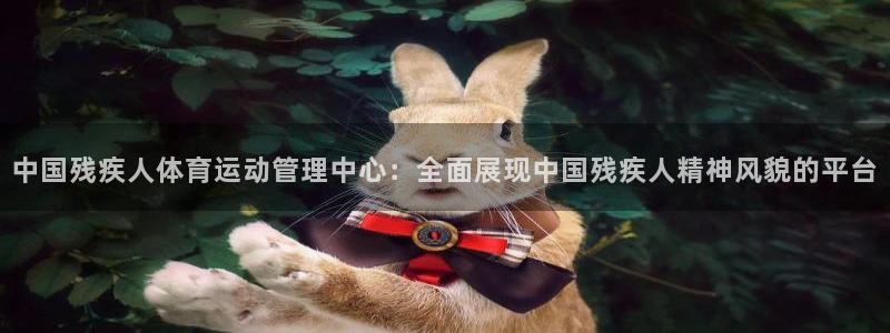 米兰体育官网下载平台是正规平台吗安全吗：中国残疾人体育运动管