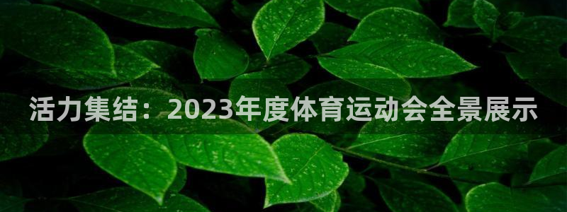 米兰体育官方正版app娱乐网站：活力集结：2023年度体育运