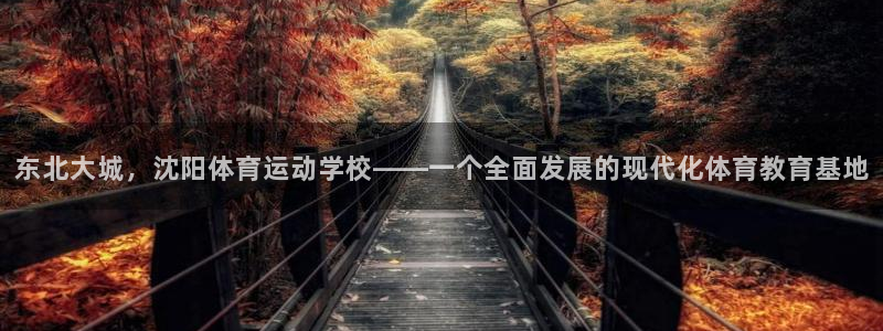 注册米兰体育官方正版app：东北大城，沈阳体育运动学