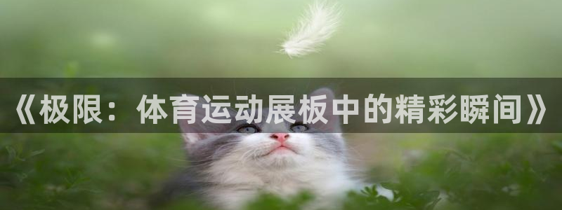 米兰体育官网下载招商电话地址查询：《极限：体育运动展板中的精