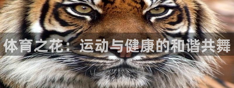 米兰体育官网下载开户：体育之花：运动与健康的和谐共舞