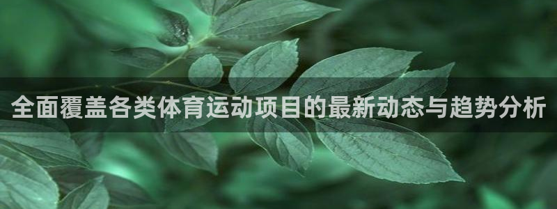 米兰体育官方正版app开户：全面覆盖各类体育运动项目的最新动