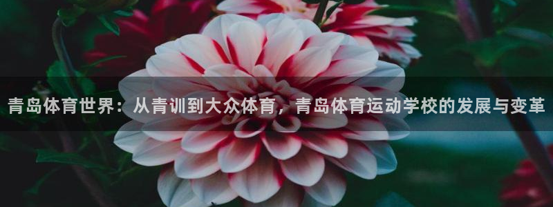 米兰体育官方正版app集团E.ON：青岛体育世界：从青训到大