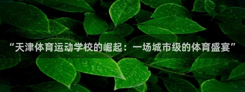 米兰体育官方正版app娱乐：“天津体育运动学校的崛起：一场城