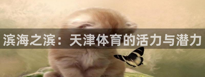 米兰体育官网下载招商电话是多少：滨海之滨：天津体育的活力与潜