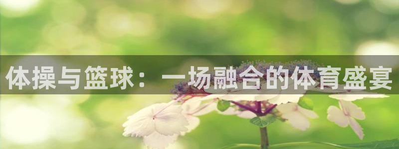 米兰体育官网下载官方客服电话：体操与篮球：一场融合的