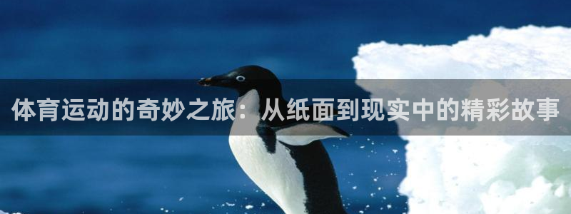 米兰体育官方正版app代理：体育运动的奇妙之旅：从纸面到现实