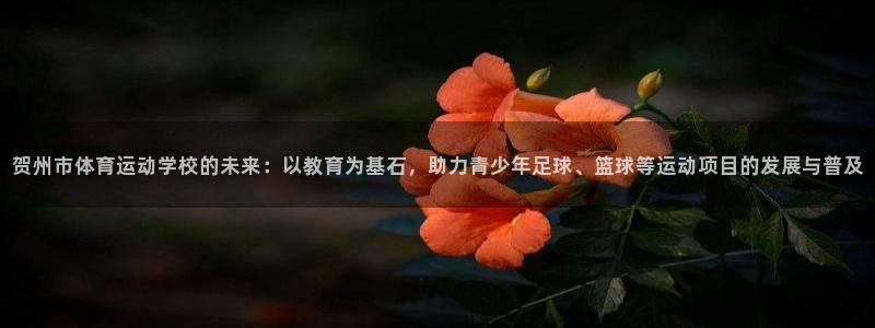 米兰体育官方正版app集团官网网址