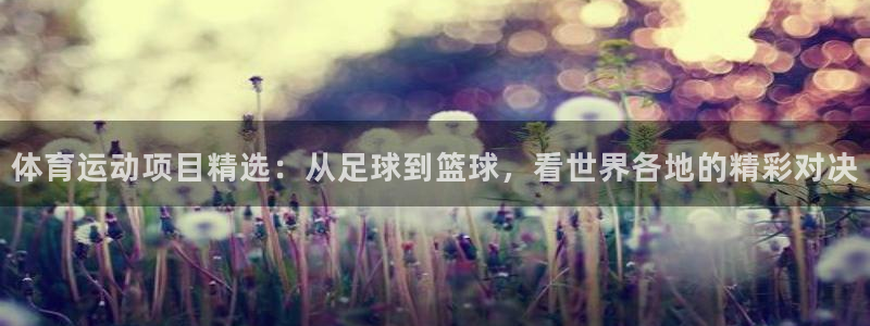 米兰体育官方正版app集团简介：体育运动项目精选：从足球到篮