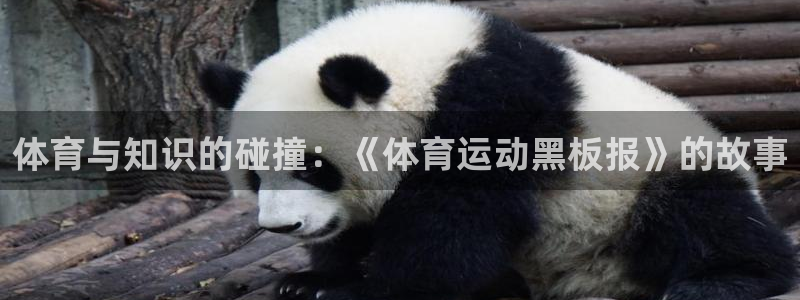 米兰体育官方正版app娱乐首页官网下载