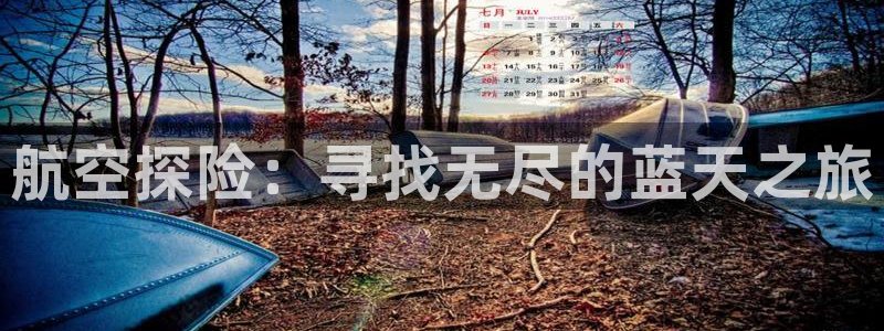 米兰体育官网下载招商电话号码查询是多少：航空探险：寻找无尽的